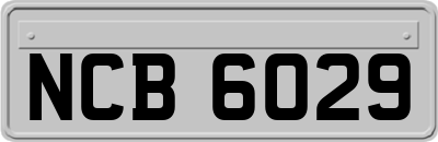 NCB6029