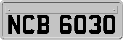 NCB6030