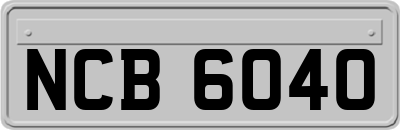 NCB6040