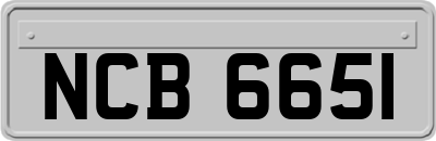 NCB6651