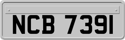 NCB7391