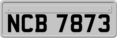NCB7873
