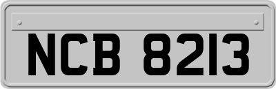 NCB8213