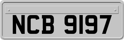 NCB9197