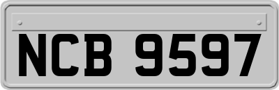 NCB9597