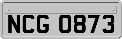 NCG0873