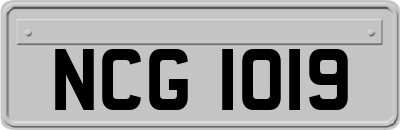 NCG1019