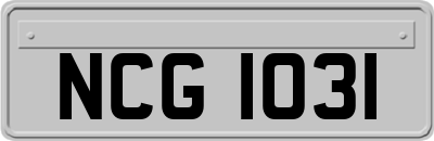NCG1031