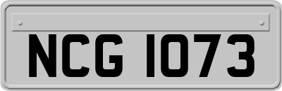 NCG1073