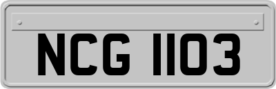 NCG1103