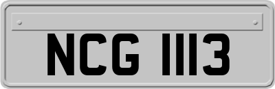 NCG1113