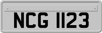 NCG1123