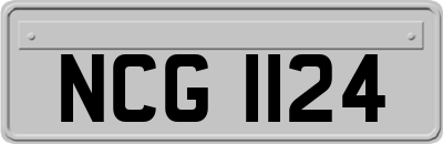 NCG1124