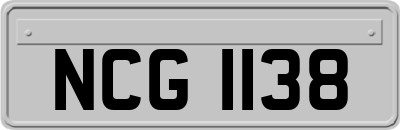 NCG1138