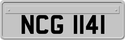 NCG1141