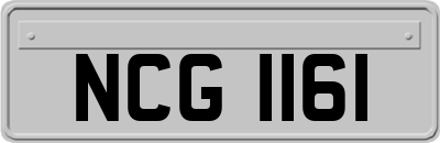 NCG1161