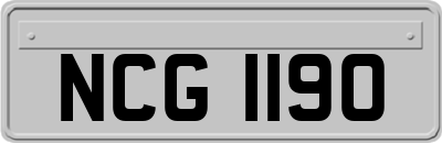 NCG1190