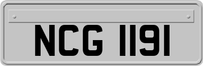 NCG1191