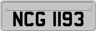 NCG1193