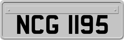 NCG1195