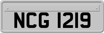 NCG1219