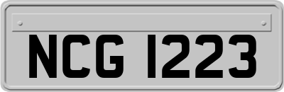 NCG1223
