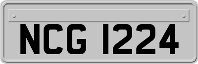 NCG1224