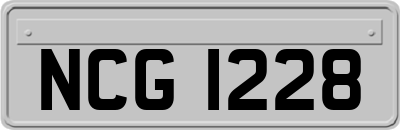 NCG1228
