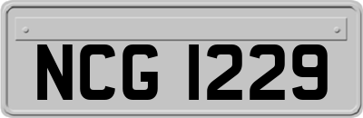 NCG1229
