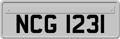 NCG1231