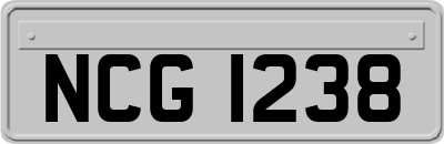 NCG1238