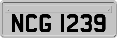 NCG1239