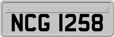 NCG1258