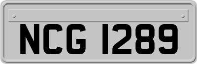 NCG1289