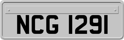 NCG1291