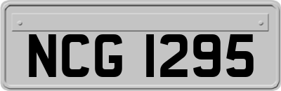 NCG1295