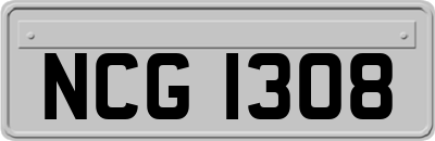 NCG1308