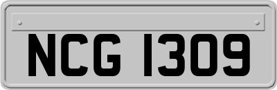 NCG1309