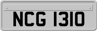 NCG1310