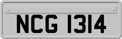 NCG1314