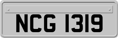 NCG1319