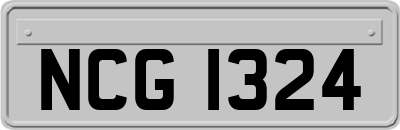 NCG1324