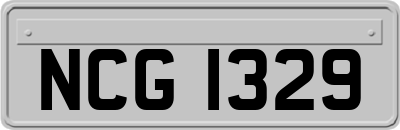 NCG1329