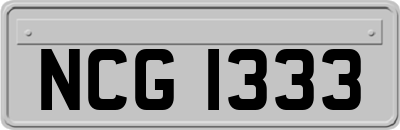 NCG1333
