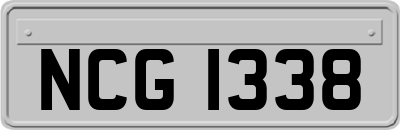 NCG1338