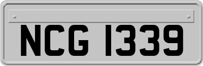 NCG1339