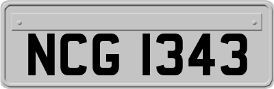 NCG1343