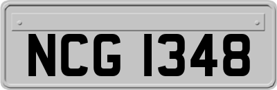 NCG1348