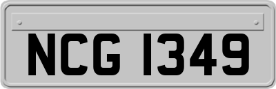 NCG1349
