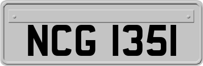 NCG1351